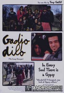 Странный чужак / Gadjo dilo