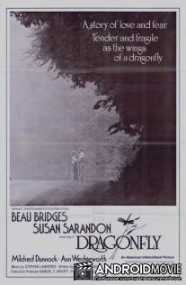 Стрекоза / Dragonfly