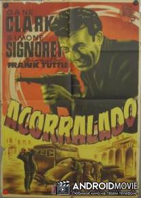 Стрелок на улицах города / Gunman in the Streets