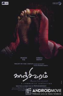 Свадебное сари / Kanchivaram