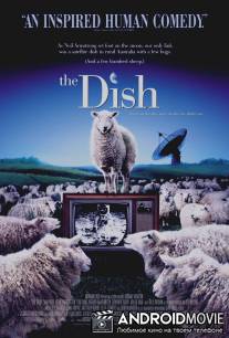 Тарелка / Dish, The