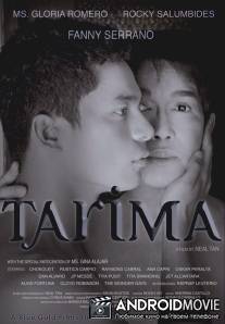 Тарима / Tarima