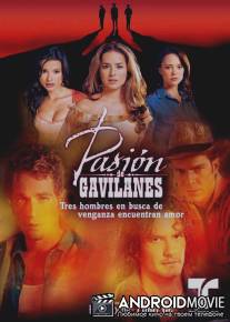 Тайная страсть / Pasion de gavilanes