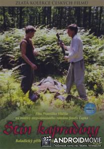 Тень папоротника / Stin kapradiny