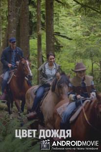 Цвет дождя / Color of Rain, The