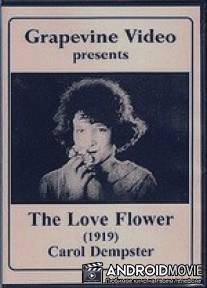 Цветок любви / Love Flower, The
