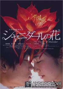 Цветок Шанидар / Shanidaru no hana