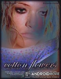 Цветы хлопка / Cotton Flowers