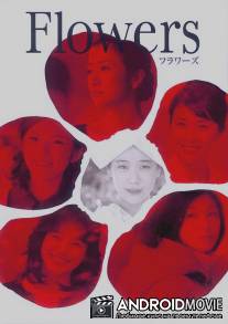 Цветы / Flowers