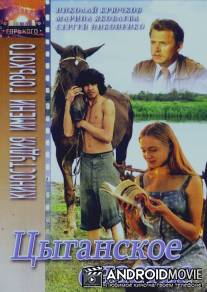 Цыганское счастье