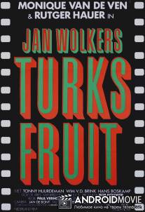 Турецкие наслаждения / Turks fruit