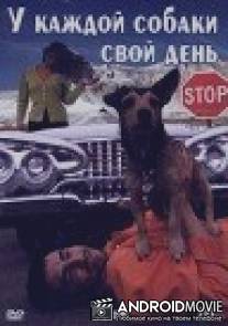 У каждой собаки свой день / Every Dog Has Its Day