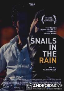 Улитки под дождём / Snails in the Rain