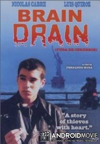 Утечка мозгов / Fuga de cerebros