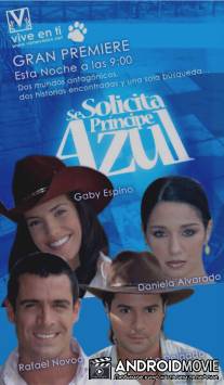 В поисках идеального мужчины / Se solicita principe azul
