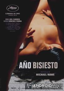 Високосный год / Ano bisiesto