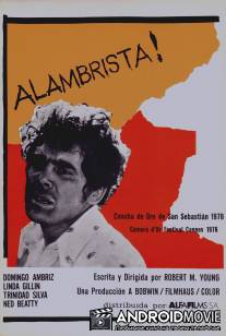 Вне закона / Alambrista!