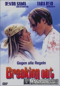 Вокруг огня / Around the Fire