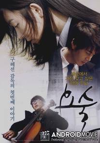 Волшебство / Yosul