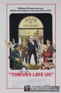 Воры как мы / Thieves Like Us