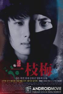 Возвращение Иль Чжи Мэ / Dolanon Iljimae