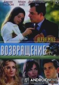 Возвращение / Alpha Male