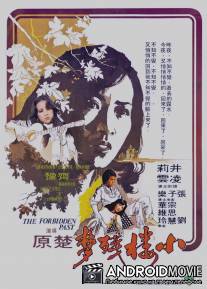 Запретное прошлое / Xiao lou can meng