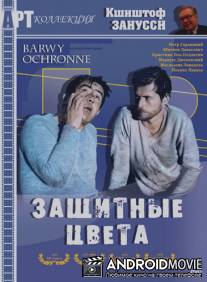 Защитные цвета / Barwy ochronne