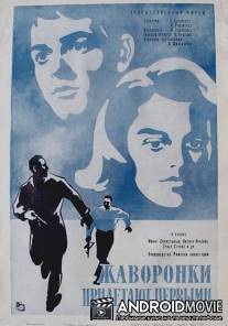 Жаворонки прилетают первыми / Zhavoronki priletayut pervymi