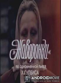 Жаворонки / Zhavoronki