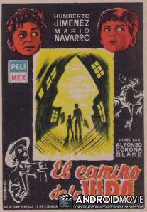 Жизненный путь / El camino de la vida
