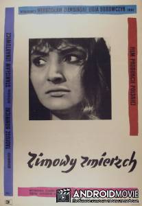 Зимние сумерки / Zimowy zmierzch