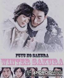 Зимняя вишня / Fuyu no sakura