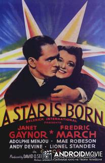 Звезда родилась / A Star Is Born