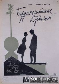 Будапештские крыши / Pesti haztetok