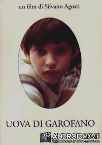 Бутон гвоздики / Uova di garofano