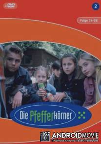 Детективы из табакерки / Die Pfefferkorner