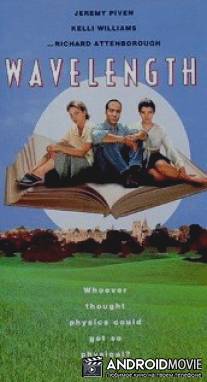 Формула успеха / E=mc2