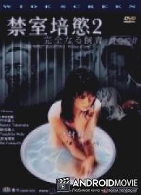 Идеальное образование 2: 40 дней любви / Kanzen-naru shiiku: Ai no 40-nichi