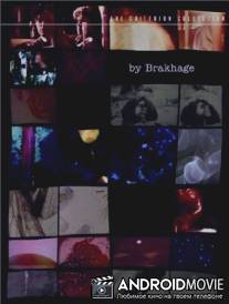 Искусство видения / Art of Vision, The