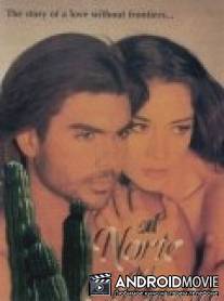 К северу от сердца / Al norte del corazon