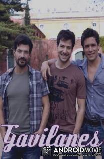 Хищники / Gavilanes