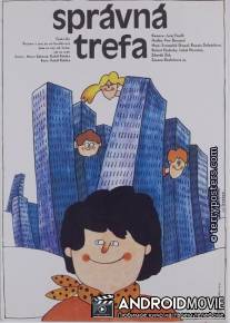 Хорошее попадание / Spravna trefa