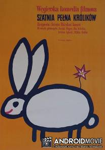 Кролики в раздевалке / Nyulak a ruhatarban