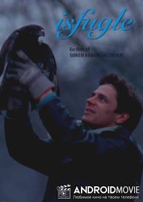 Ледяные птицы / Isfugle