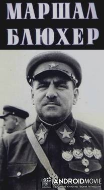 Маршал Блюхер: портрет на фоне эпохи