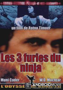 Месть ниндзя / Gadis berwajah seribu