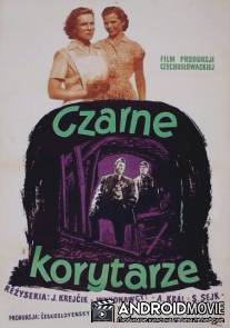 Над нами рассвет / Nad nami svita