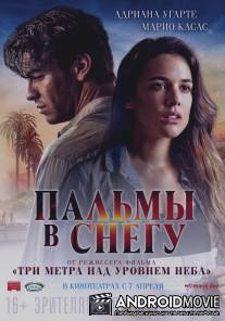 Пальмы в снегу / Palmeras en la nieve