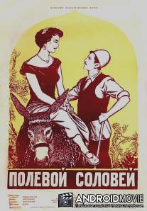 Полевой соловей / Bolbole mazraeh